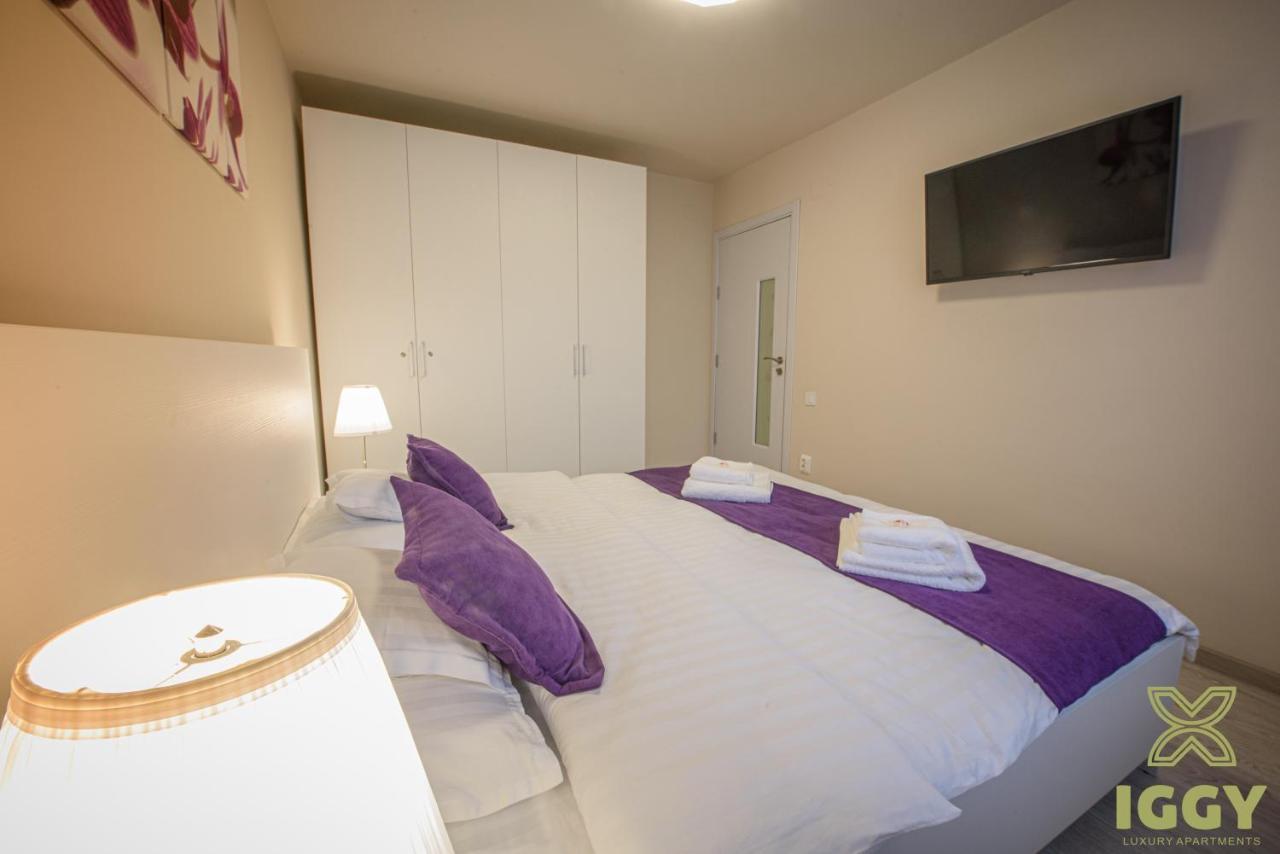Iggy Luxury Apartment Hunedoara Ngoại thất bức ảnh