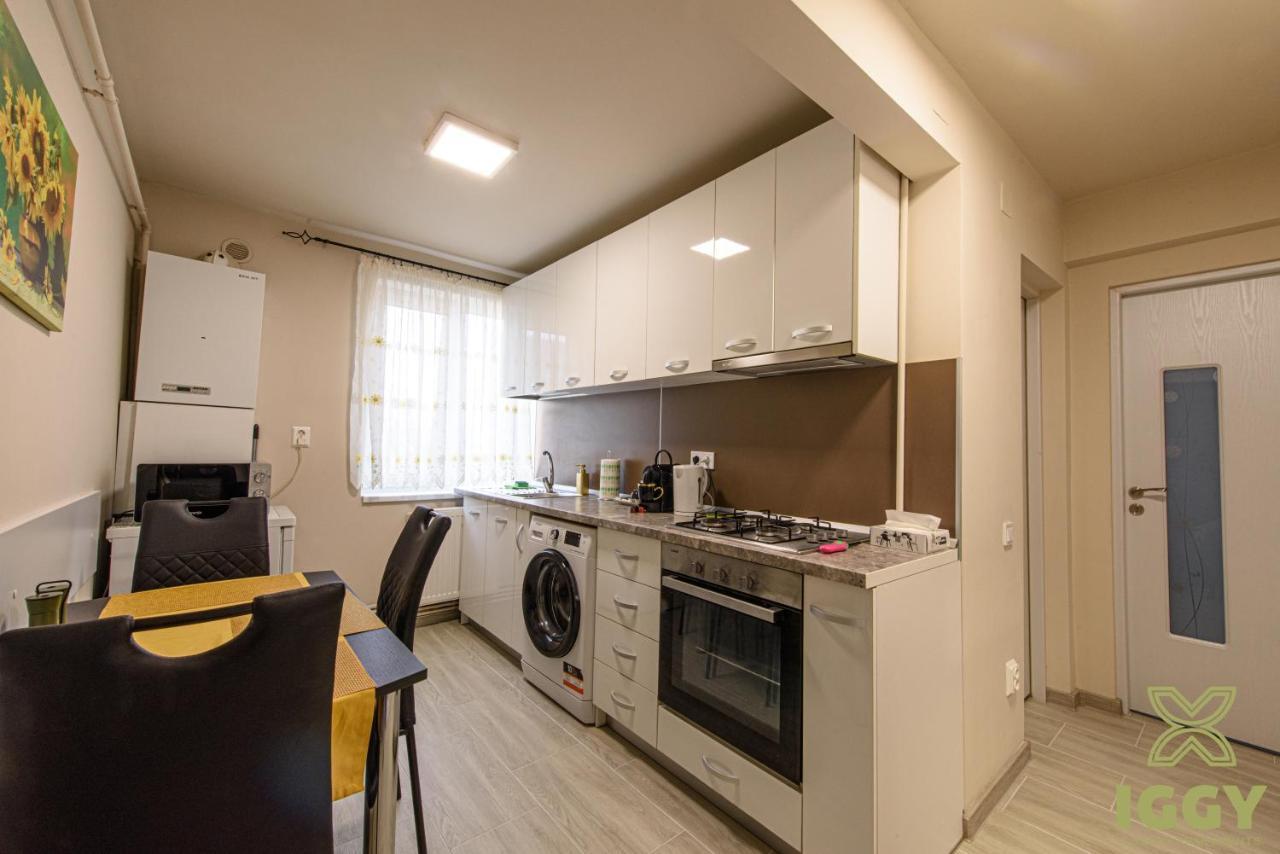 Iggy Luxury Apartment Hunedoara Ngoại thất bức ảnh